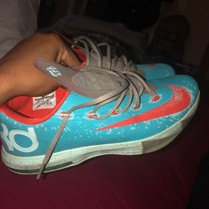 Kds Maryland bluecrabs
